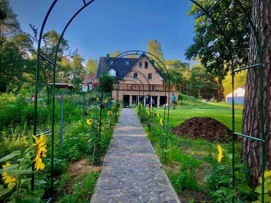 Penthouse Bernd Im Waldschloesschen Direkt Am See Wendisch Rietz Exterior foto